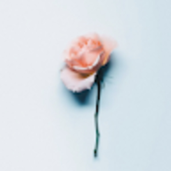 Meet your Posher, Halt - Picture 1 of 1